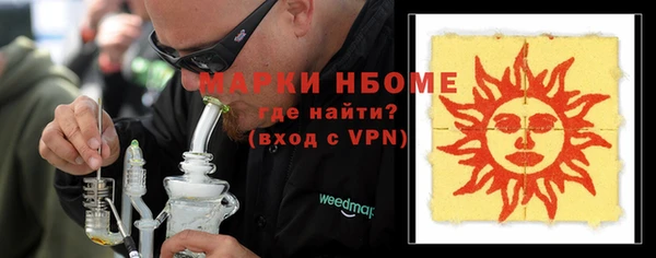 ГАЛЛЮЦИНОГЕННЫЕ ГРИБЫ Инсар