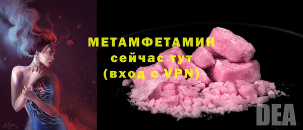 ГАЛЛЮЦИНОГЕННЫЕ ГРИБЫ Инсар