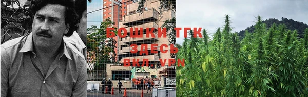 стафф Зеленокумск