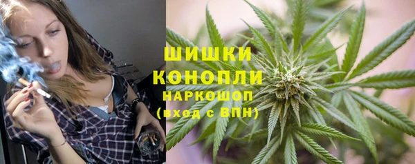 ГАЛЛЮЦИНОГЕННЫЕ ГРИБЫ Инсар