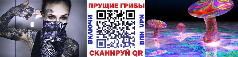 Псилоцибиновые грибы Psilocybine cubensis  сколько стоит  Ершов 